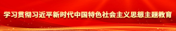 日本美女操阴道学习贯彻习近平新时代中国特色社会主义思想主题教育